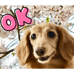 bunbun_20260503205414