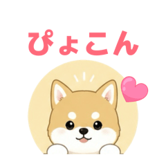 pi pi_20260503210203