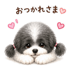 RION&ARICE_20260503210142
