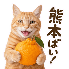 Kumamoto Dialect Cat Stickers!