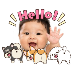 Pang.pang1_20260428130204