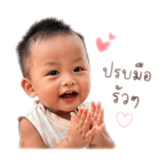 Tintin_20260428130500