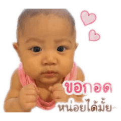 mei_il275_20260428130332