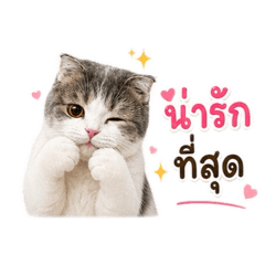 Khao Pun_20260430214547