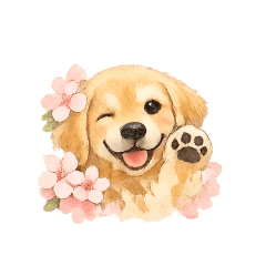 可愛的黃金獵犬佮櫻花