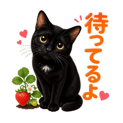 Yukie-san Family Black Cat Mugi