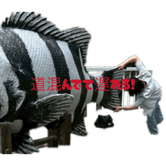 MJ_20260503210706