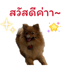 Tee_20260503215804