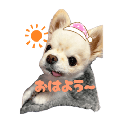 Sora_20260503211452