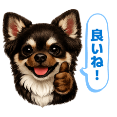 hirohiroponpon_20260503211652