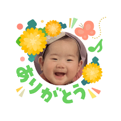 MIYA_20260503211553