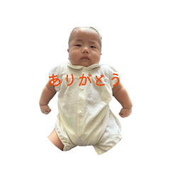 Ymgt_20260503211608