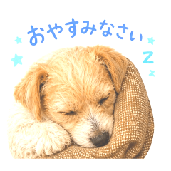 asami_20260503212057