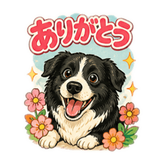 ontan_20260503215542