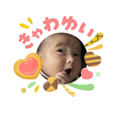 choko_20260503220201