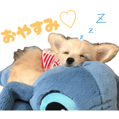 Yumi_20260503220118
