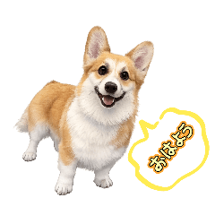 mochi_20260503215708