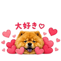 Ran_20260503215919
