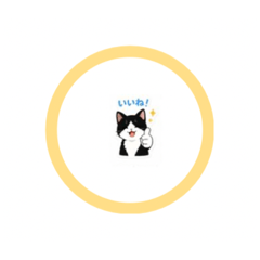 先輩ねこさん