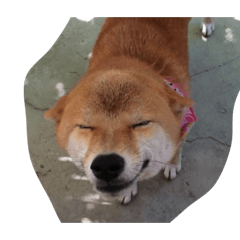 Aiko_20260503212419