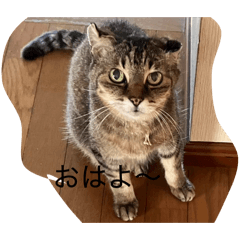 yumi_20260503212649