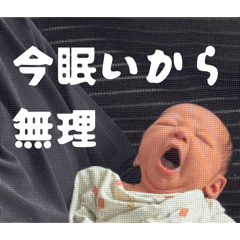 yuta_20260503213739