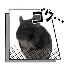 Kombu_935