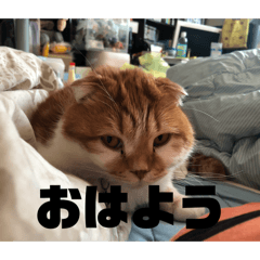 Yuika_20260503214111