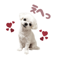 Misapon_20260503221030