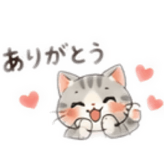 Cat lovers only_20260503221548