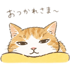 chatoranekoshincha