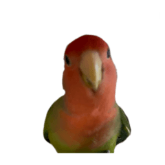as_20260503221536