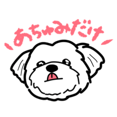 Gomadango_20260503214722