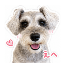 hiromi_20260503214428