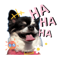Ponsuke_20260503215059