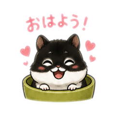 Naonao_20260503215107