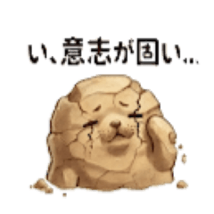 HK_20260503223845