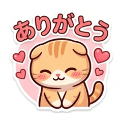 kichi_20260503230421