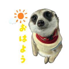 Teto_20260503230640