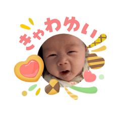 oma_20260503222627