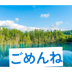 mimi_20260503222142
