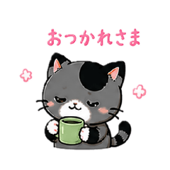 okaka_20260503232412