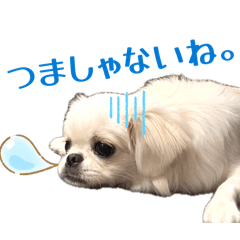tomoka_20260503233123