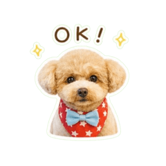 mayu_20260503233456