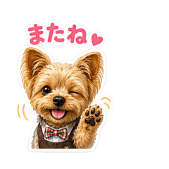 satsuki_20260503233157