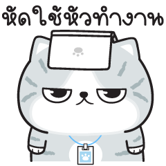 Munkaew little cat V.81