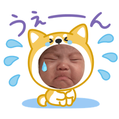 misaki_20260503225230