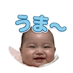 koko_20260503224326