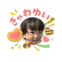 shio_20260504081408