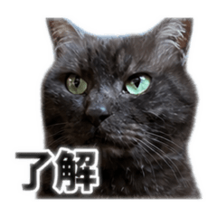 saiu_20260503225439